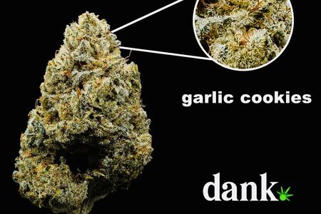 Garlic Cookies 3.0