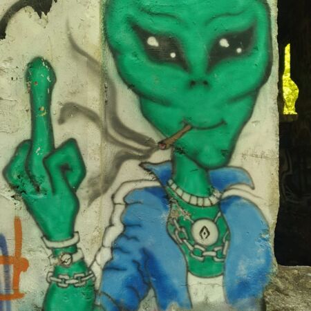 Maddog Martin Dank Seeds